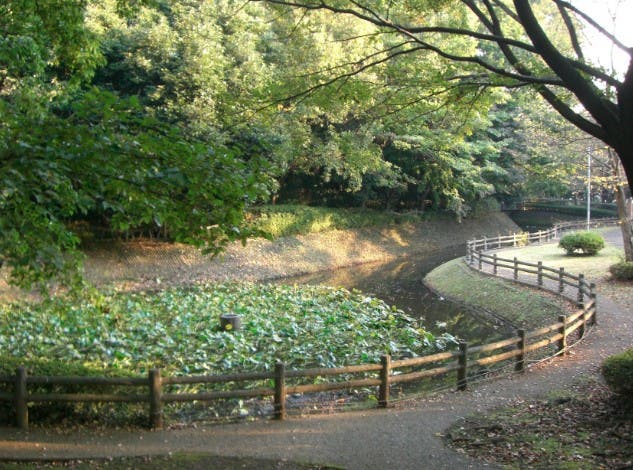 大平公園の1枚目画像