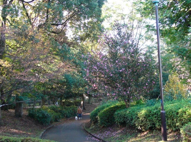 大塚公園の2枚目画像