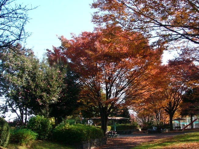 大塚公園のサブ写真3