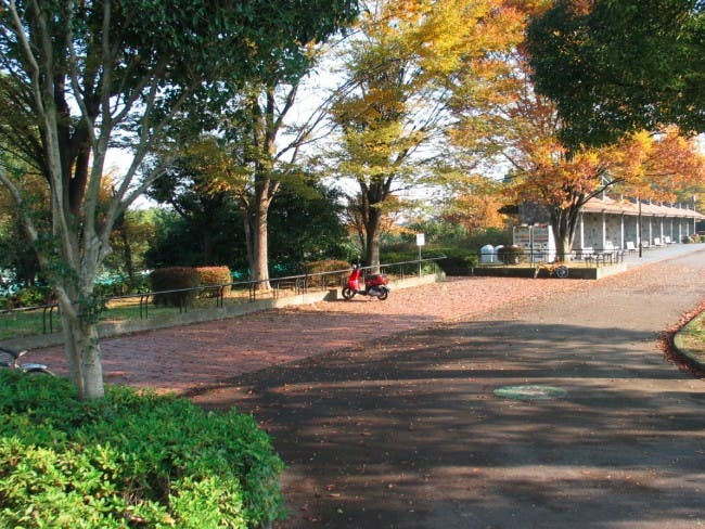 大塚公園のサブ写真7