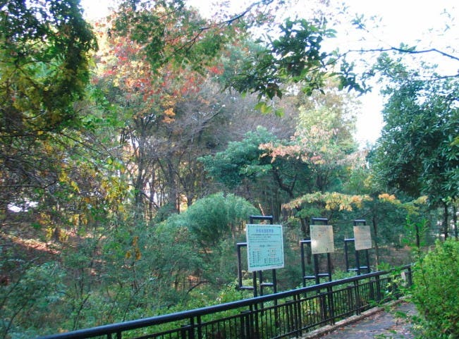 大塚公園のサブ写真9