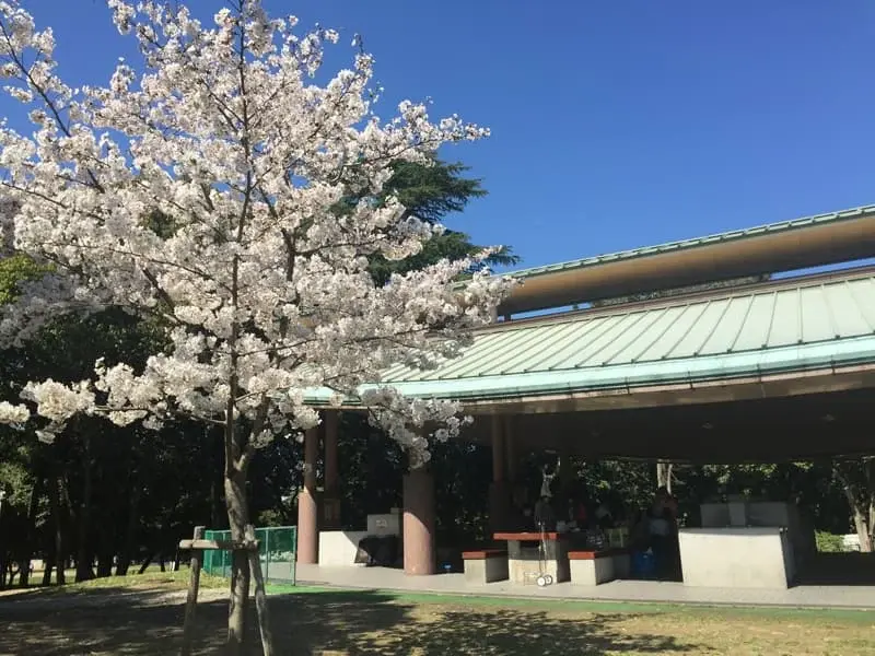 GoodBBQ 服部緑地バーベックマルシェの2枚目画像
