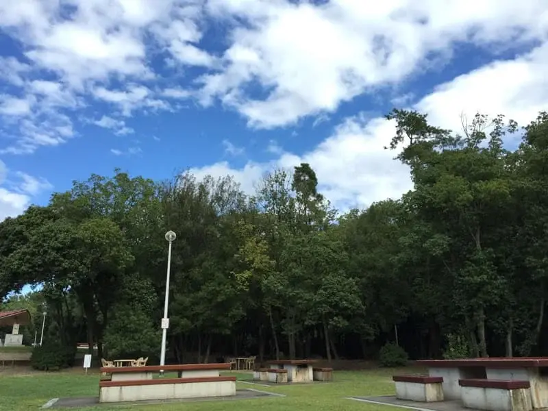 GoodBBQ 服部緑地バーベックマルシェの3枚目画像