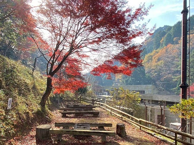 高槻森林観光センターバーベキュー場のサブ写真3