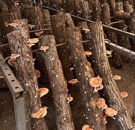 高槻森林観光センターバーベキュー場のサブ写真8