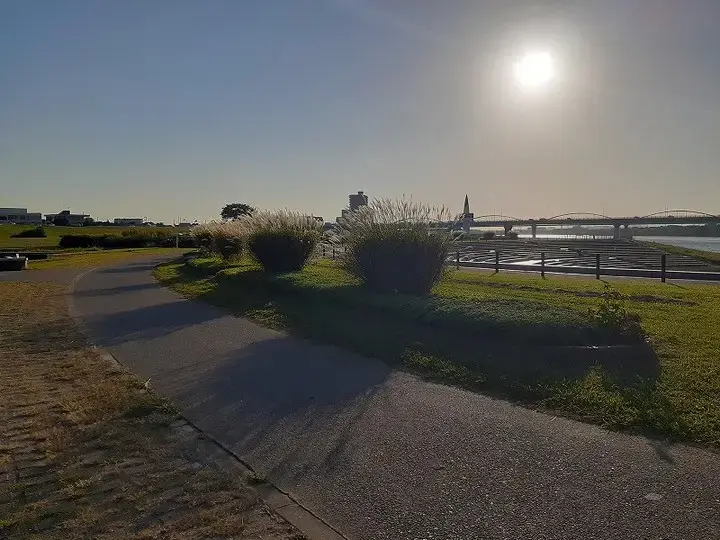 淀川河川公園 長柄地区の2枚目画像