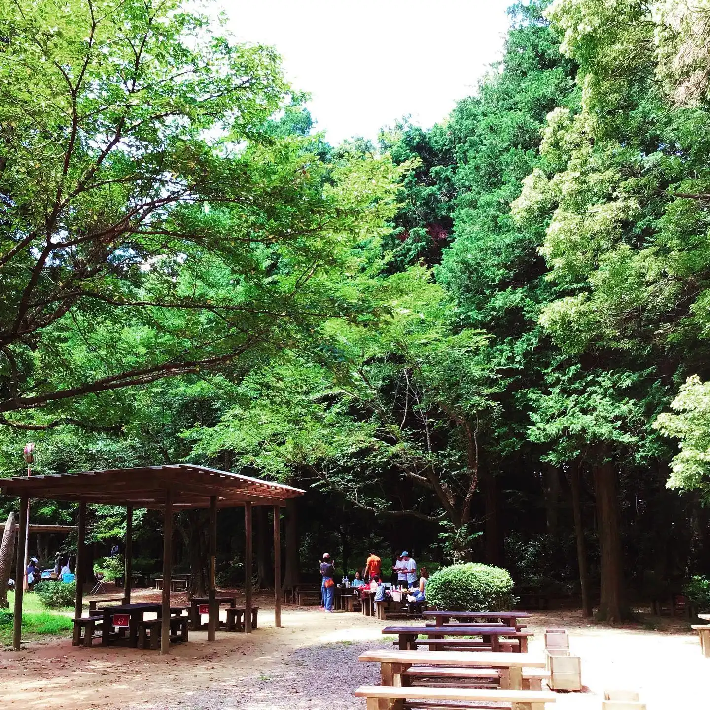 千葉県立船橋県民の森の3枚目画像