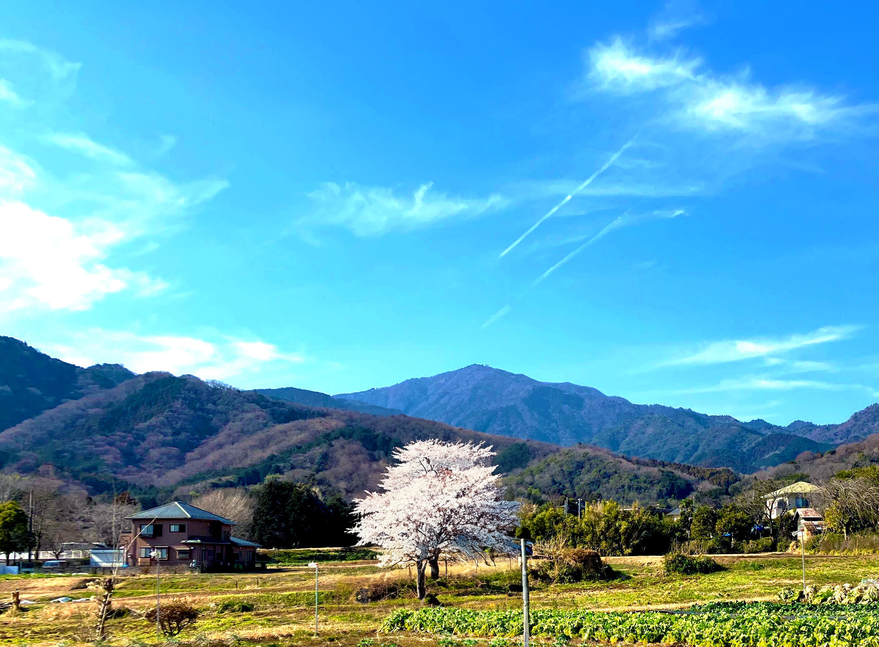 LOCAL BBQ 伊勢原のサブ写真7
