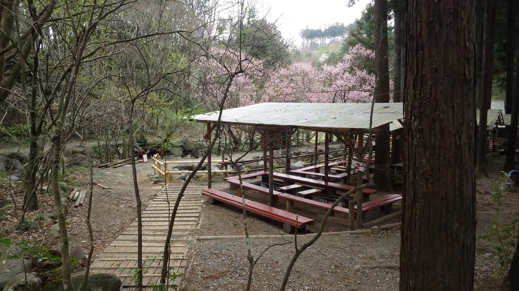 小田原市いこいの森の3枚目画像