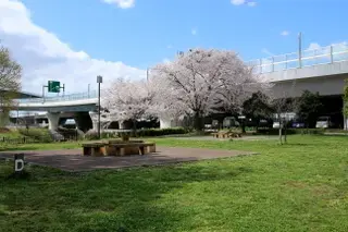 海老名運動公園の1枚目画像