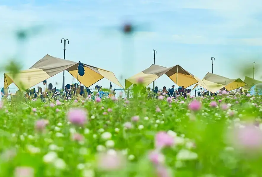 大黒ふ頭海釣り公園 デイキャンプ&BBQガーデンの2枚目画像