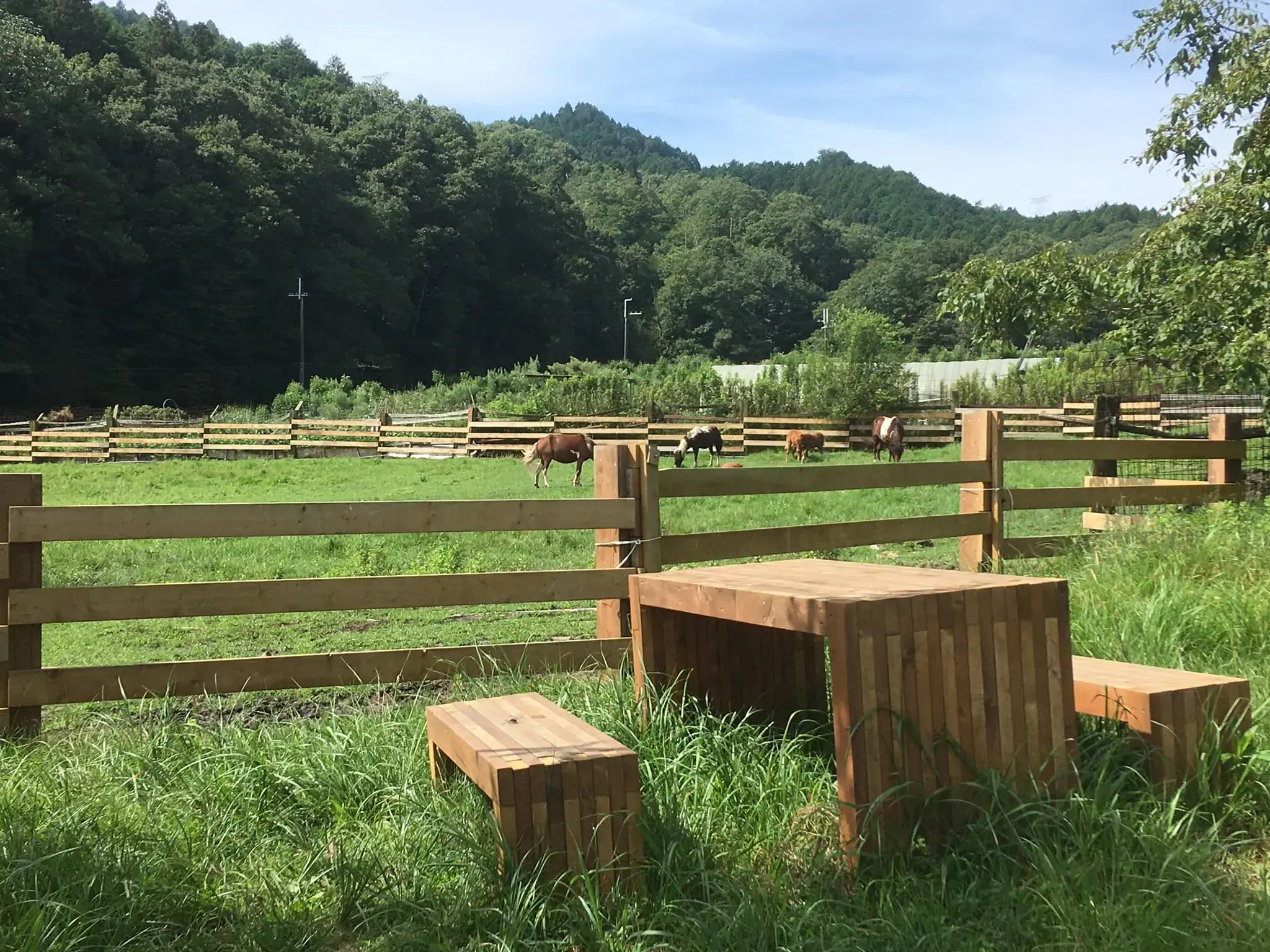 山田牧場の2枚目画像