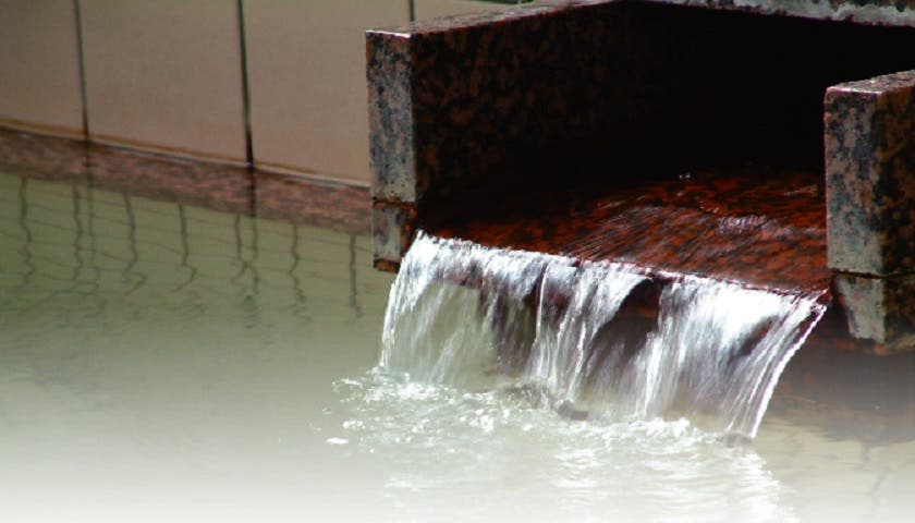 湧暇李の里 樹園のサブ写真3