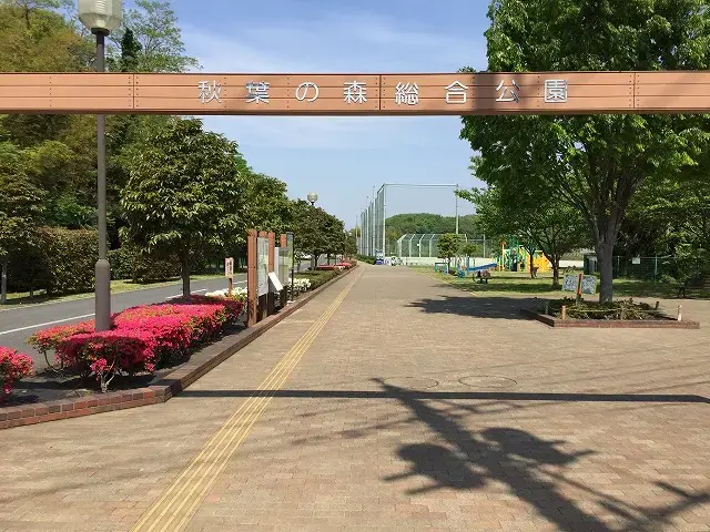 秋葉の森総合公園の3枚目画像