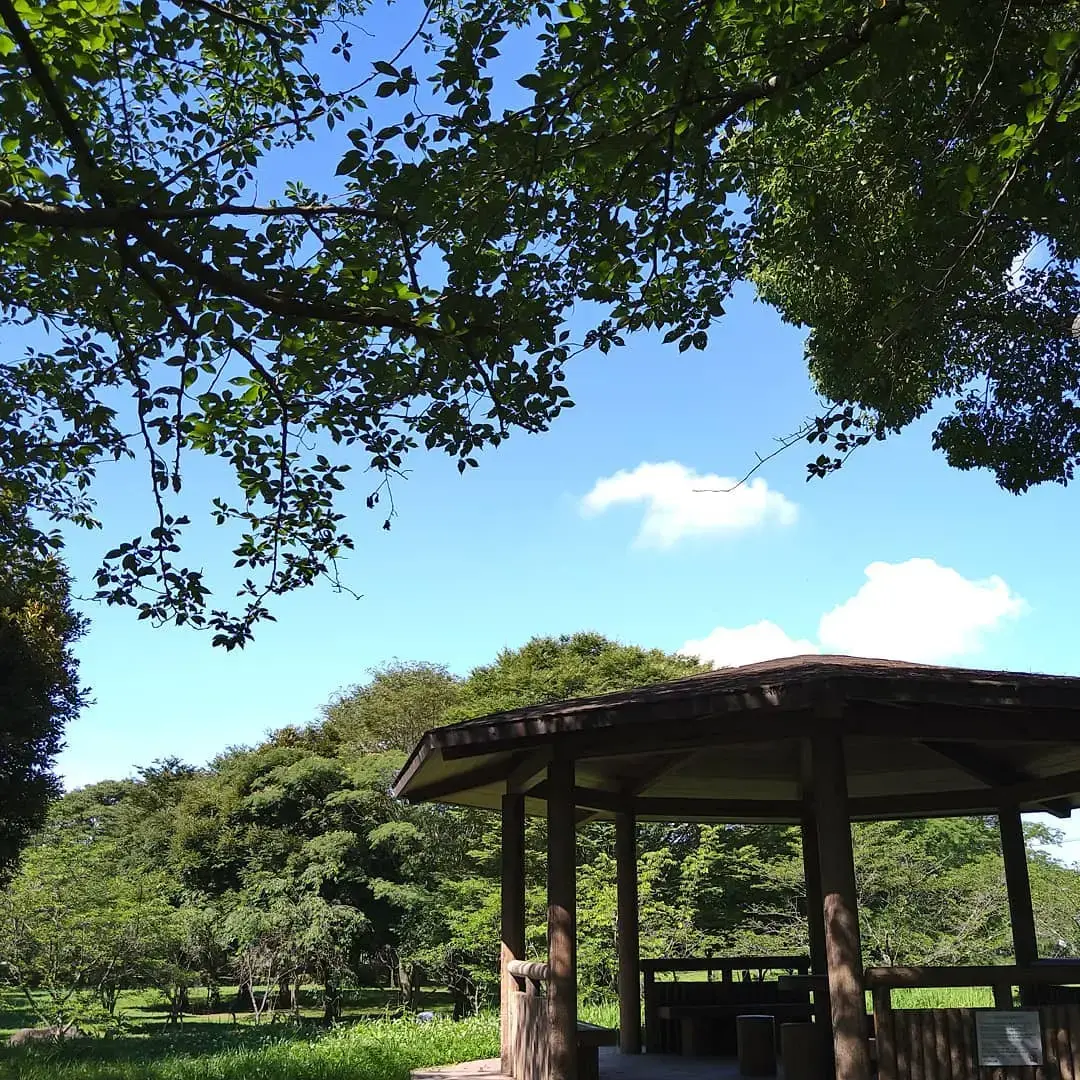 幸手市総合公園の2枚目画像