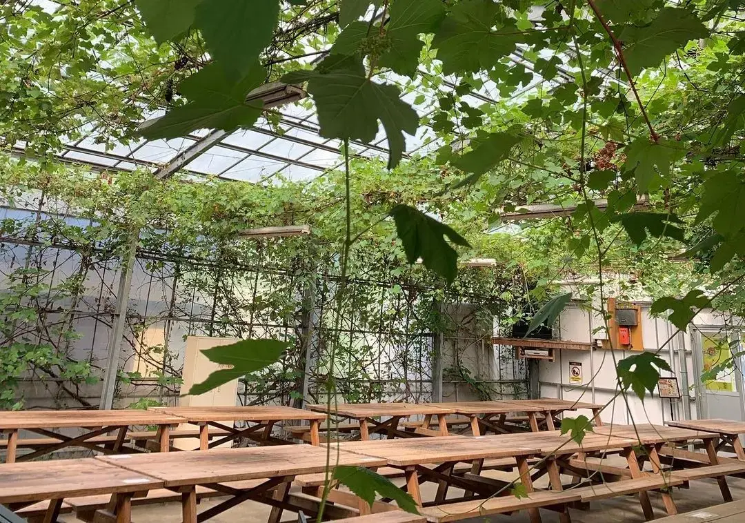 とんとんの丘もちぶた館 本店の2枚目画像