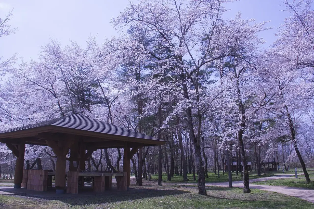 国営みちのく杜の湖畔公園 いも煮会ひろばの2枚目画像