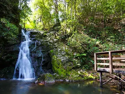 摂津峡 川と森のバーベキューランドの3枚目画像
