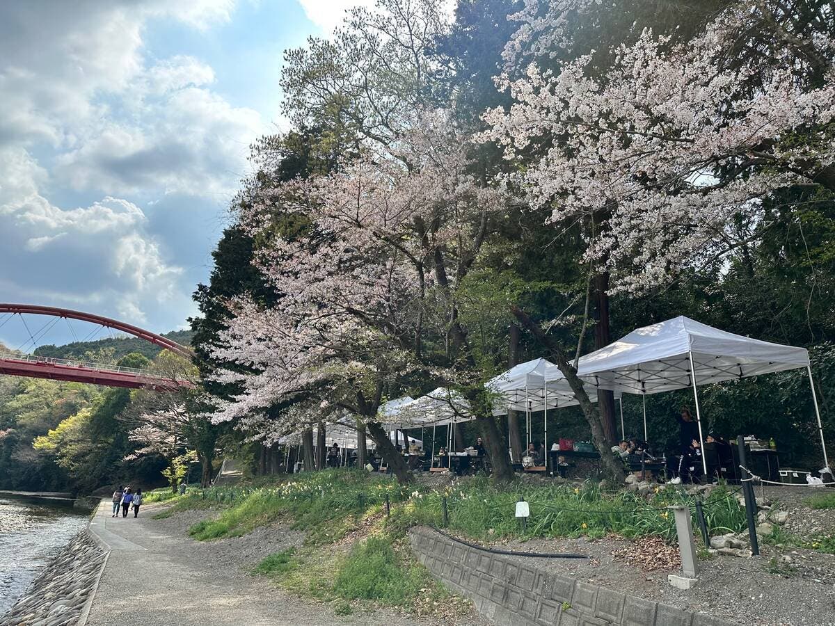 サポートプラン