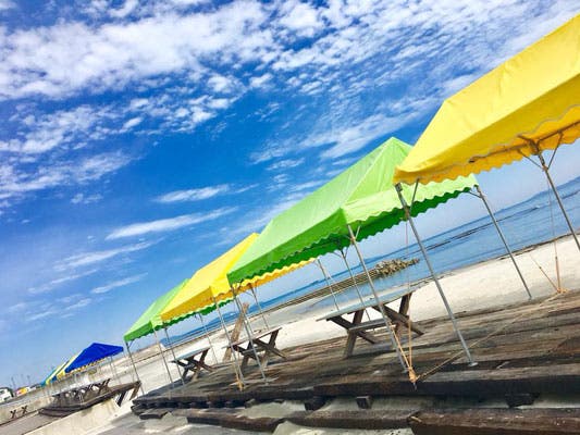 ココ・ジャングル(COCOJUNGLE)のサブ写真3