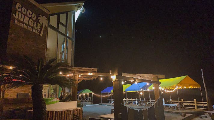 ココ・ジャングル(COCOJUNGLE)のサブ写真6