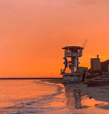 ココ・ジャングル(COCOJUNGLE)のサブ写真10