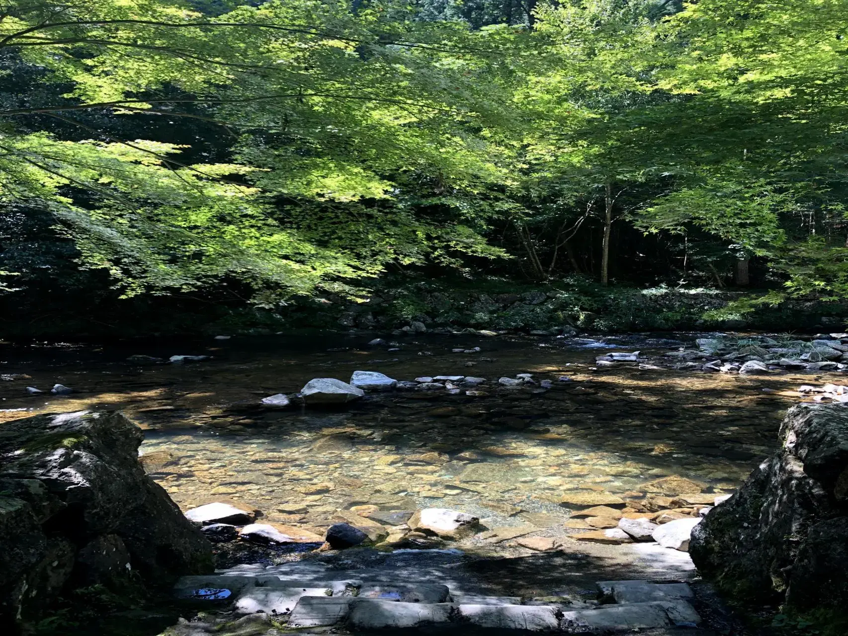ひやひやランドの3枚目画像