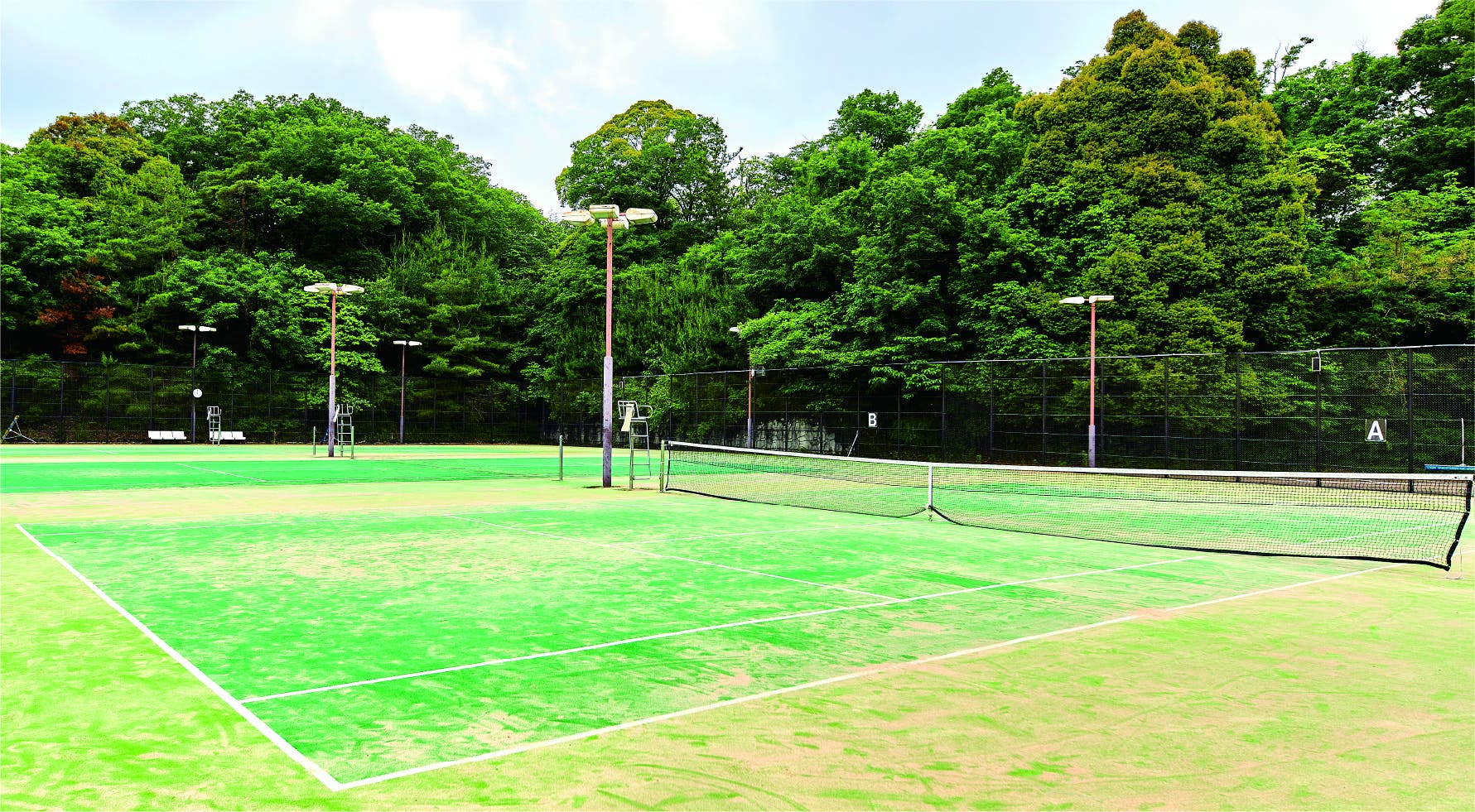 生駒山麓公園のサブ写真9