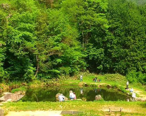 七瀬川渓流釣り場の1枚目画像