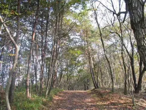 北山公園 バーベキュー場の1枚目画像