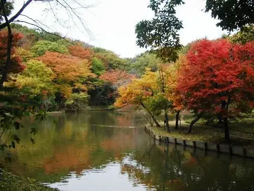 北山公園 バーベキュー場の3枚目画像