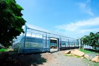 観光農園 吉次園 （KICHIJIEN cafe)の2枚目画像