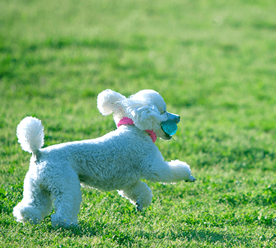 北九州市立総合農事センターのサブ写真6