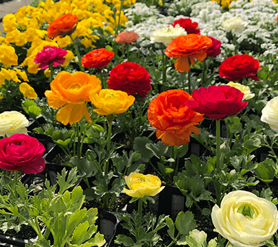 北九州市立総合農事センターのサブ写真7