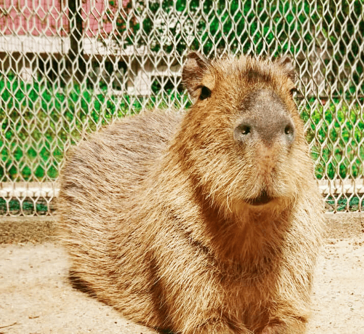 北九州市立総合農事センターのサブ写真8