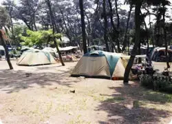 富津公園キャンプ場の1枚目画像