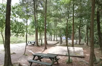 憩いの森公園キャンプ場の2枚目画像