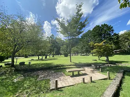 和良川公園オートキャンプ場の3枚目画像