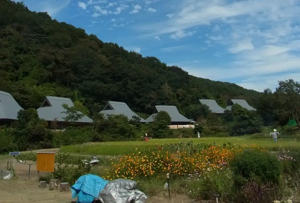 里山の自然学校 紀泉わいわい村の3枚目画像