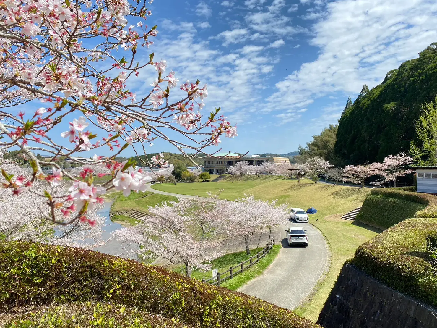 和水江田川カヌー・キャンプ場の3枚目画像