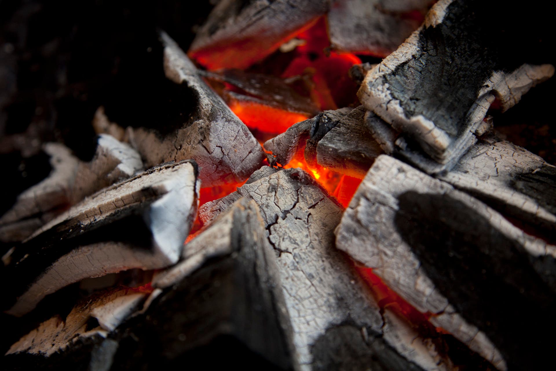 愛知牧場 バーベキューガーデンのサブ写真10