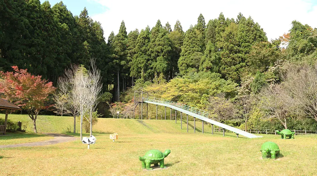大亀山森林公園の3枚目画像