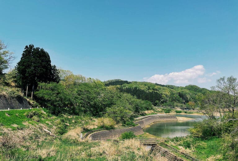 森のほうかごVILLAGEの2枚目画像