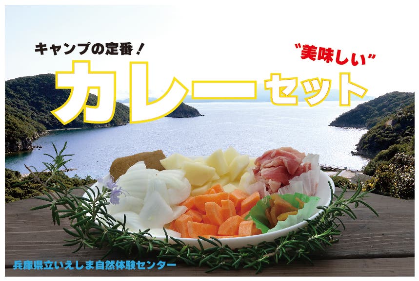 カレーセット