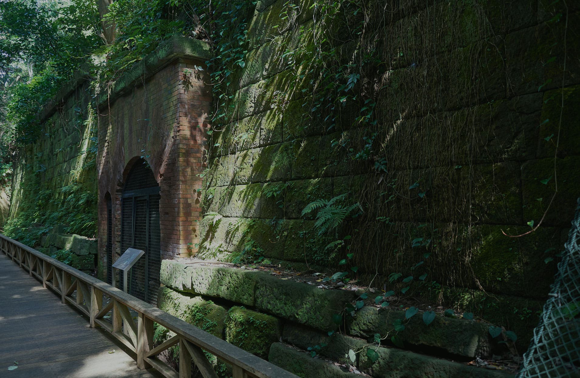 猿島のサブ写真4