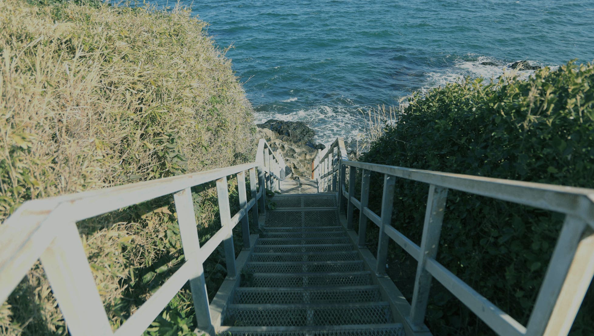 猿島のサブ写真6