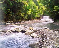 お子様と一緒に楽しめるウォーターフィールド