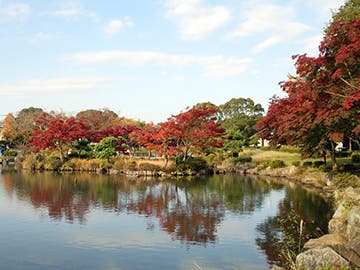こども自然公園バーベキュー広場の3枚目画像