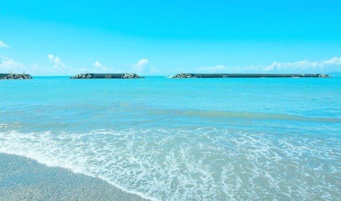 ピクニックサイト