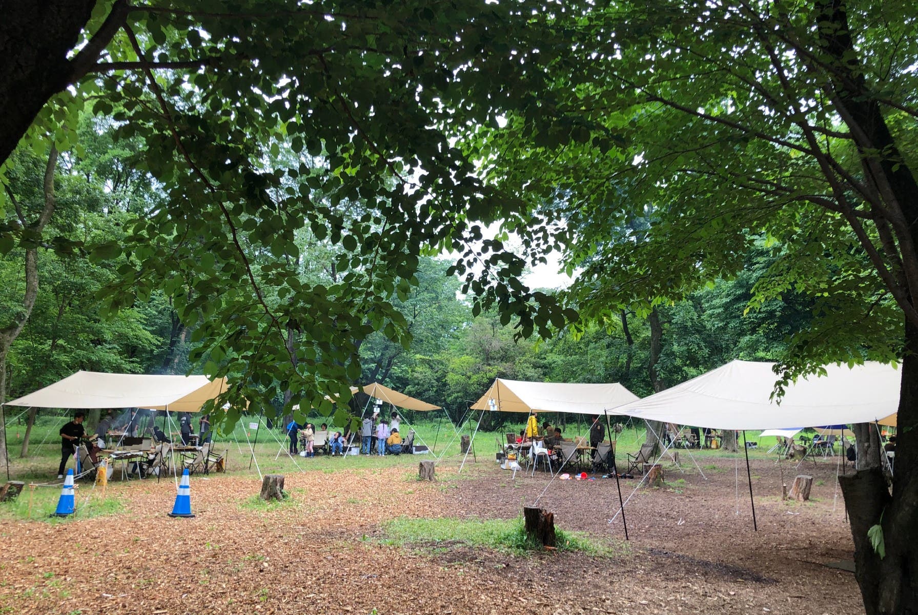 緑がとても気持ちのよい公園内のバーベキュー場。 手ぶらOK、食材持ち込みOK、ペットと一緒のご利用もOK！ゆったりと楽しみたい人におすすめです。